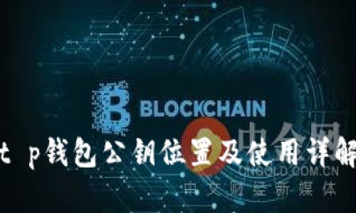 t p钱包公钥位置及使用详解