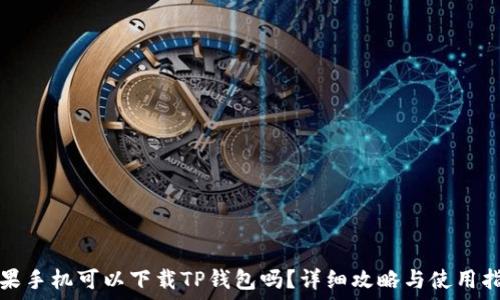 苹果手机可以下载TP钱包吗?详细攻略与使用指南