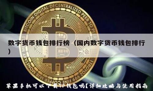 苹果手机可以下载TP钱包吗?详细攻略与使用指南