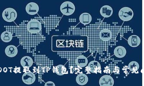 如何将DOT提取到TP钱包?完整指南与常见问题解析