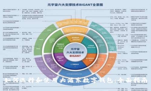如何选择和使用大浦东数字钱包:全面指南