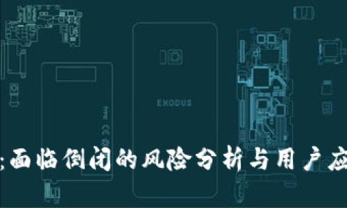 TP钱包:面临倒闭的风险分析与用户应对策略