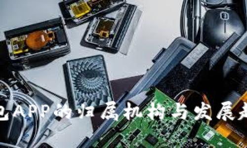 数字钱包APP的归属机构与发展趋势分析