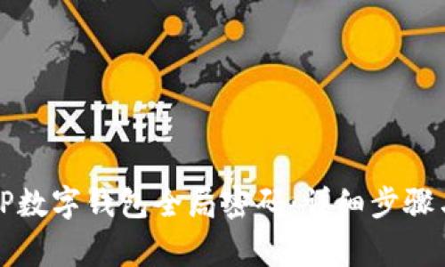 如何重置TP数字钱包全局密码:详细步骤与注意事项