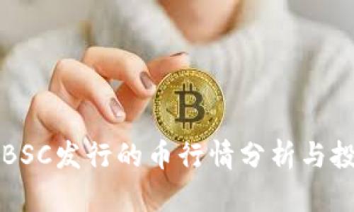 TP钱包BSC发行的币行情分析与投资指南