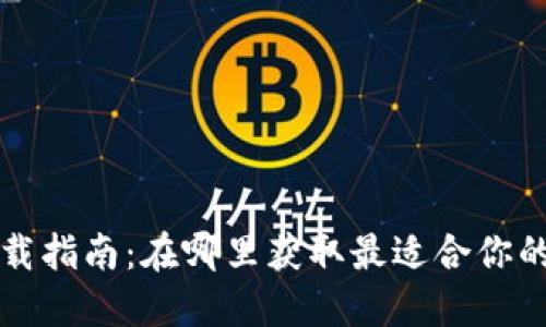 数字钱包的下载指南:在哪里获取最适合你的数字钱包应用