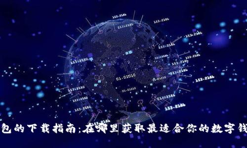 数字钱包的下载指南:在哪里获取最适合你的数字钱包应用