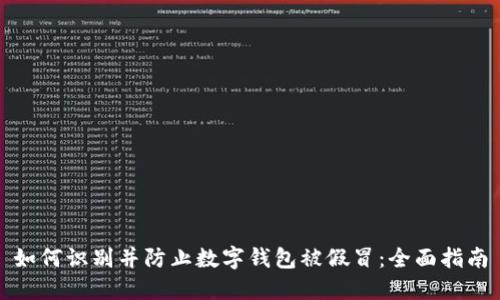 如何识别并防止数字钱包被假冒：全面指南