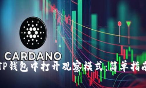 如何在TP钱包中打开观察模式:简单指南与技巧