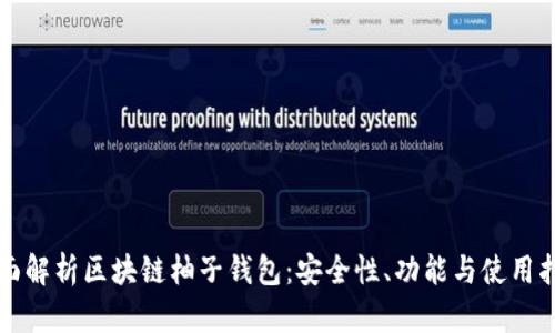 全面解析区块链柚子钱包:安全性、功能与使用指南
