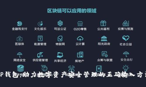 TP钱包：助力数字资产安全管理的正确输入方法